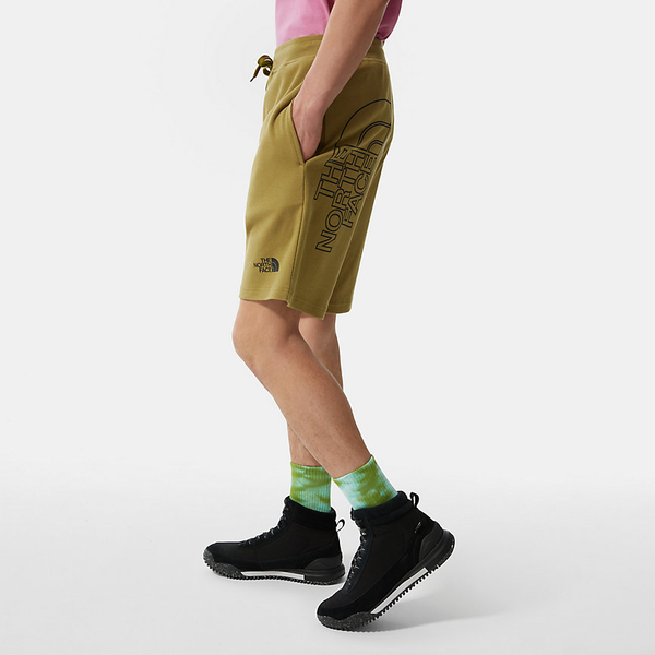 The North Face Men’s Graphic Light Shorts in Green Moss