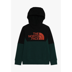 The North Face Youth South Peak Kids Pullover Hoodie in Green & Black